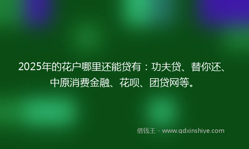 2025年的花户哪里还能贷有：功夫贷、替你还、中原消费金融、花呗、团贷网等。
