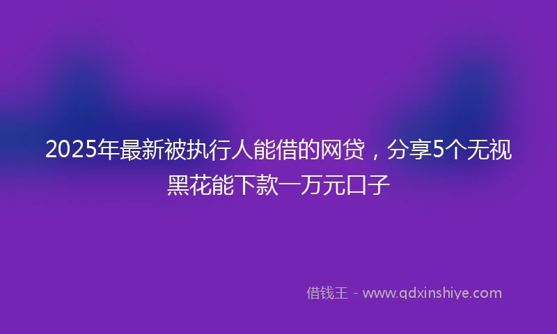 2025年最新被执行人能借的网贷，分享5个无视黑花能下款一万元口子