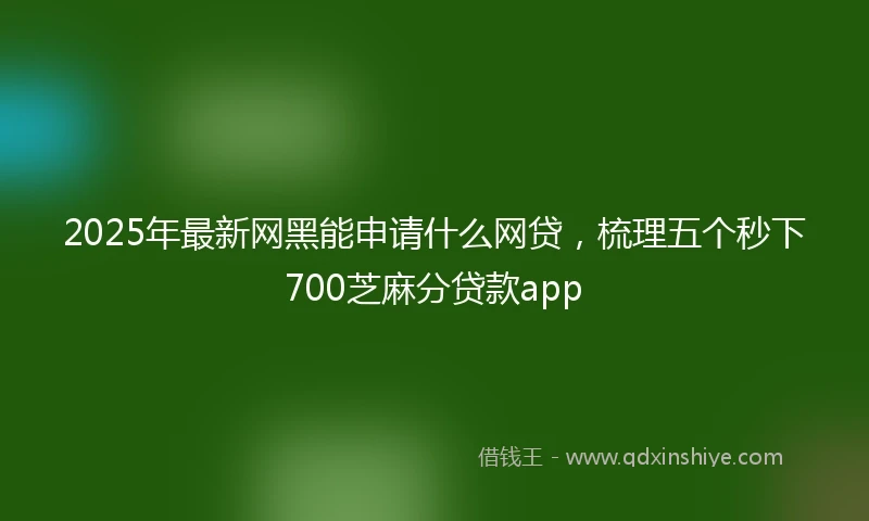 2025年最新网黑能申请什么网贷，梳理五个秒下700芝麻分贷款app