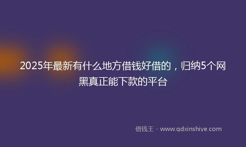 2025年最新有什么地方借钱好借的，归纳5个网黑真正能下款的平台