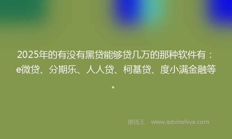 2025年的有没有黑贷能够贷几万的那种软件有：e微贷、分期乐、人人贷、柯基贷、度小满金融等。