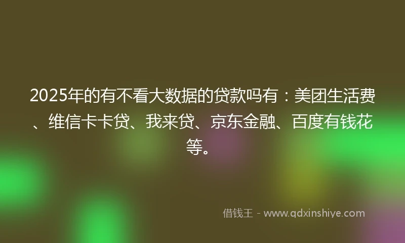 2025年的有不看大数据的贷款吗有：美团生活费、维信卡卡贷、我来贷、京东金融、百度有钱花等。
