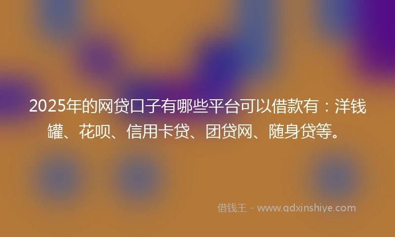 2025年的网贷口子有哪些平台可以借款有：洋钱罐、花呗、信用卡贷、团贷网、随身贷等。