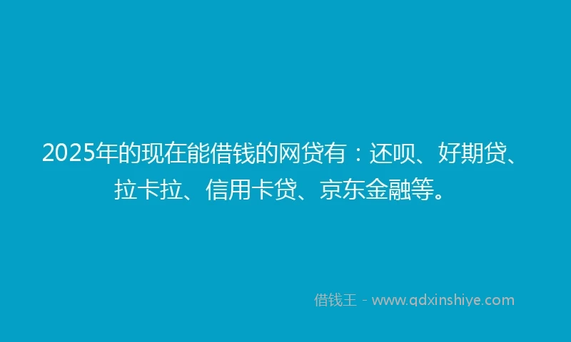 2025年的现在能借钱的网贷有：还呗、好期贷、拉卡拉、信用卡贷、京东金融等。