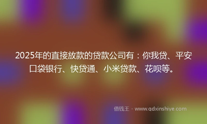 2025年的直接放款的贷款公司有：你我贷、平安口袋银行、快贷通、小米贷款、花呗等。