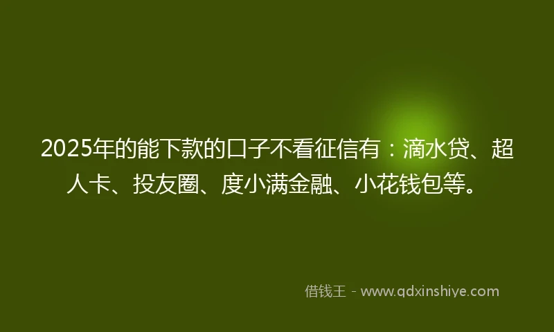 2025年的能下款的口子不看征信有：滴水贷、超人卡、投友圈、度小满金融、小花钱包等。