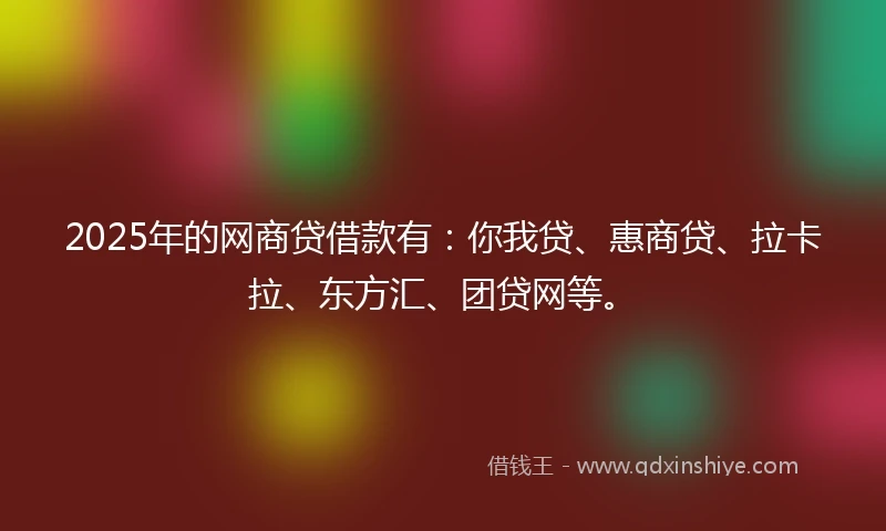 2025年的网商贷借款有：你我贷、惠商贷、拉卡拉、东方汇、团贷网等。