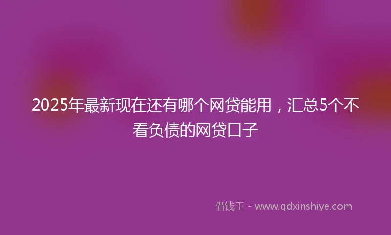 2025年最新现在还有哪个网贷能用，汇总5个不看负债的网贷口子