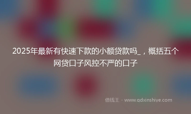 2025年最新有快速下款的小额贷款吗_,概括五个网贷口子风控不严的口子