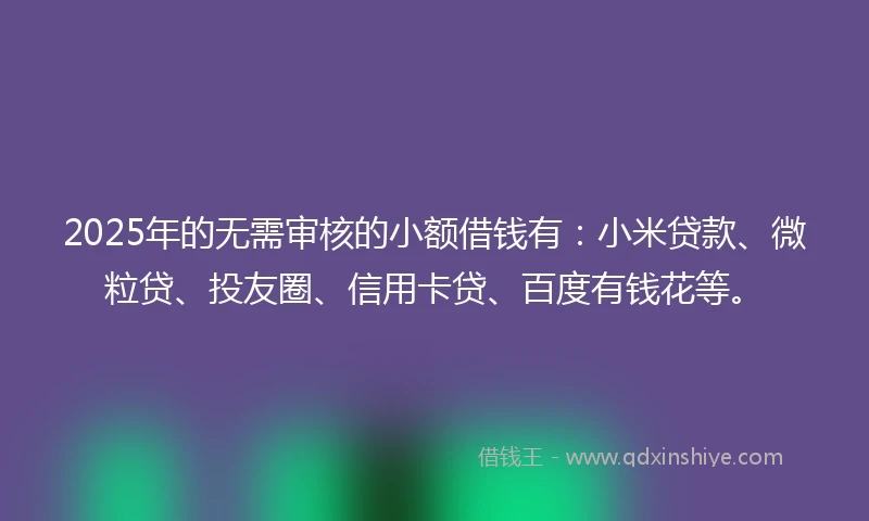 2025年的无需审核的小额借钱有：小米贷款、微粒贷、投友圈、信用卡贷、百度有钱花等。