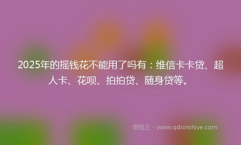 2025年的摇钱花不能用了吗有：维信卡卡贷、超人卡、花呗、拍拍贷、随身贷等。