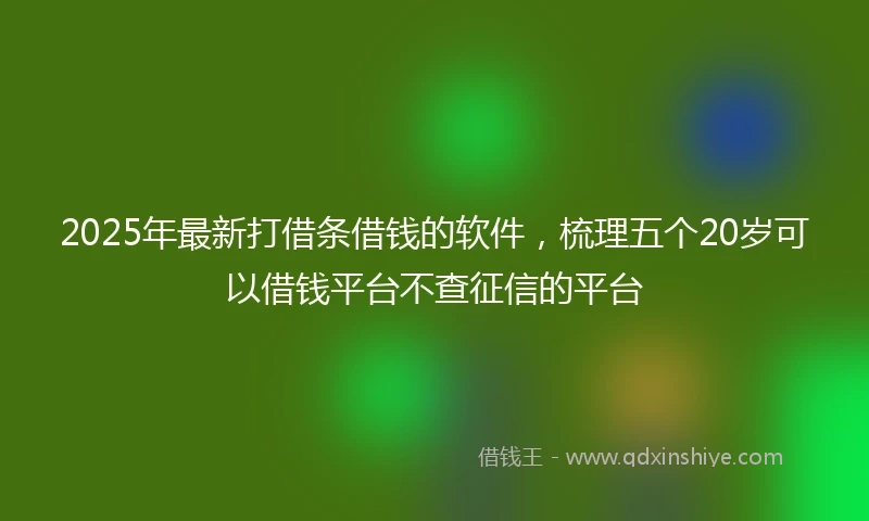 2025年最新打借条借钱的软件，梳理五个20岁可以借钱平台不查征信的平台