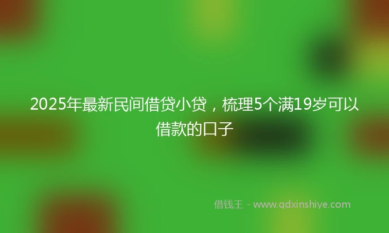 2025年最新民间借贷小贷，梳理5个满19岁可以借款的口子