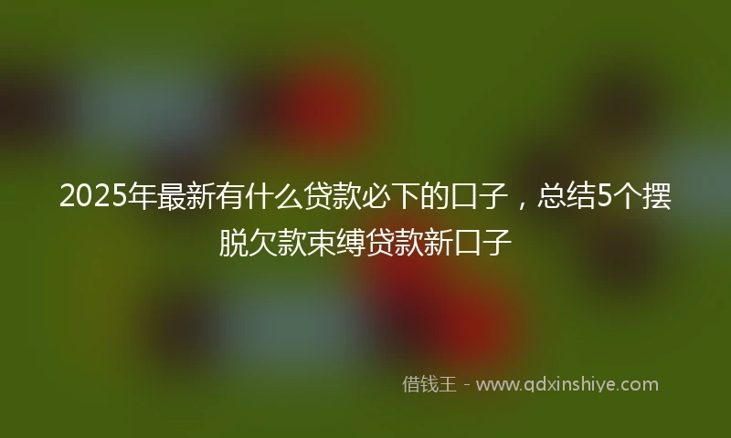 2025年最新有什么贷款必下的口子，总结5个摆脱欠款束缚贷款新口子