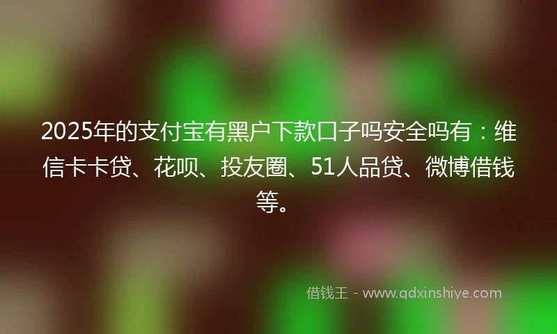 2025年的支付宝有黑户下款口子吗安全吗有：维信卡卡贷、花呗、投友圈、51人品贷、微博借钱等。