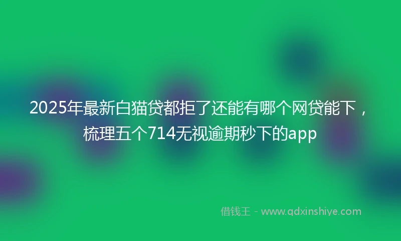 2025年最新白猫贷都拒了还能有哪个网贷能下，梳理五个714无视逾期秒下的app
