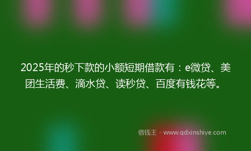 2025年的秒下款的小额短期借款有：e微贷、美团生活费、滴水贷、读秒贷、百度有钱花等。