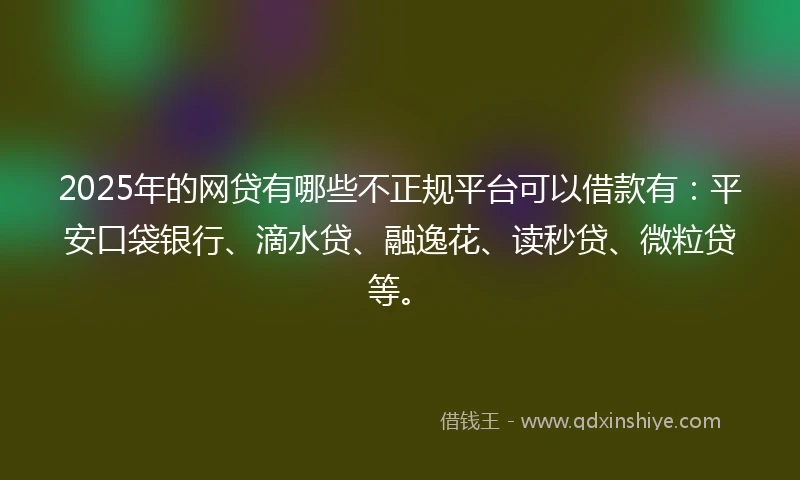 2025年的网贷有哪些不正规平台可以借款有：平安口袋银行、滴水贷、融逸花、读秒贷、微粒贷等。