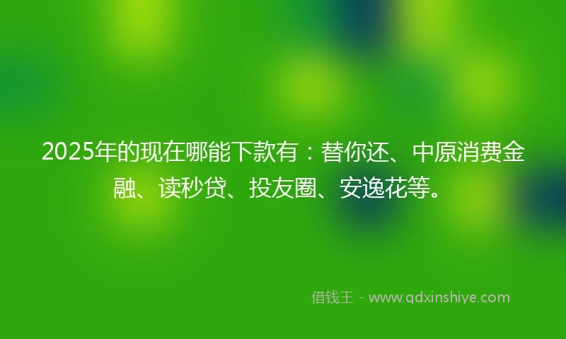 2025年的现在哪能下款有：替你还、中原消费金融、读秒贷、投友圈、安逸花等。