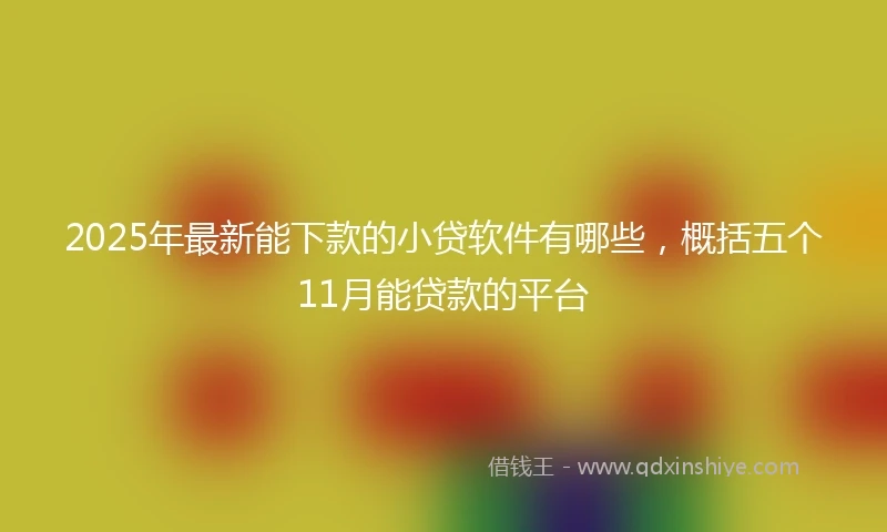 2025年最新能下款的小贷软件有哪些，概括五个11月能贷款的平台