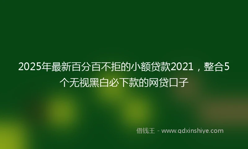 2025年最新百分百不拒的小额贷款2021，整合5个无视黑白必下款的网贷口子