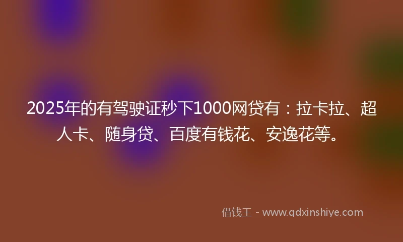 2025年的有驾驶证秒下1000网贷有：拉卡拉、超人卡、随身贷、百度有钱花、安逸花等。