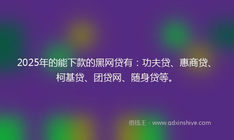 2025年的能下款的黑网贷有：功夫贷、惠商贷、柯基贷、团贷网、随身贷等。
