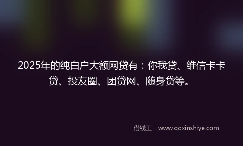 2025年的纯白户大额网贷有：你我贷、维信卡卡贷、投友圈、团贷网、随身贷等。