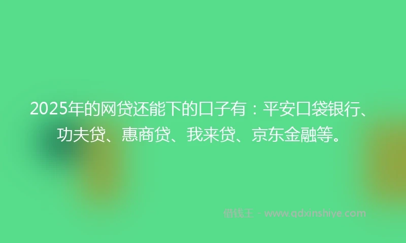 2025年的网贷还能下的口子有：平安口袋银行、功夫贷、惠商贷、我来贷、京东金融等。
