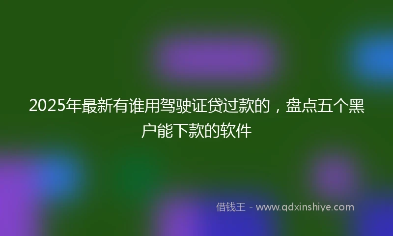 2025年最新有谁用驾驶证贷过款的，盘点五个黑户能下款的软件