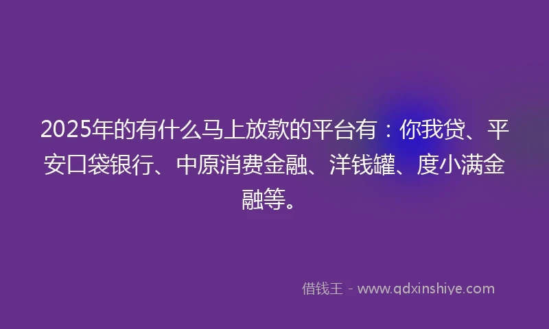 2025年的有什么马上放款的平台有：你我贷、平安口袋银行、中原消费金融、洋钱罐、度小满金融等。