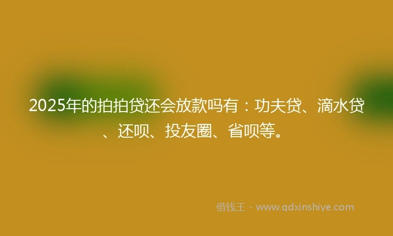 2025年的拍拍贷还会放款吗有：功夫贷、滴水贷、还呗、投友圈、省呗等。