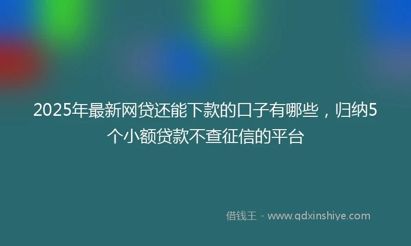 2025年最新网贷还能下款的口子有哪些，归纳5个小额贷款不查征信的平台