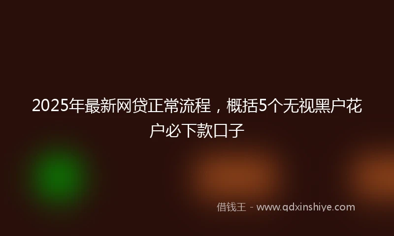 2025年最新网贷正常流程，概括5个无视黑户花户必下款口子