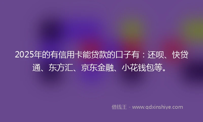 2025年的有信用卡能贷款的口子有：还呗、快贷通、东方汇、京东金融、小花钱包等。