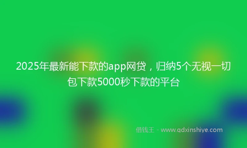 2025年最新能下款的app网贷，归纳5个无视一切包下款5000秒下款的平台