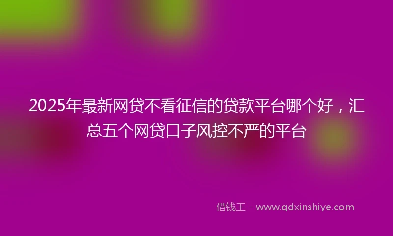 2025年最新网贷不看征信的贷款平台哪个好，汇总五个网贷口子风控不严的平台