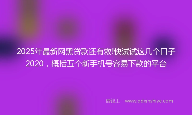 2025年最新网黑贷款还有救!快试试这几个口子2020，概括五个新手机号容易下款的平台