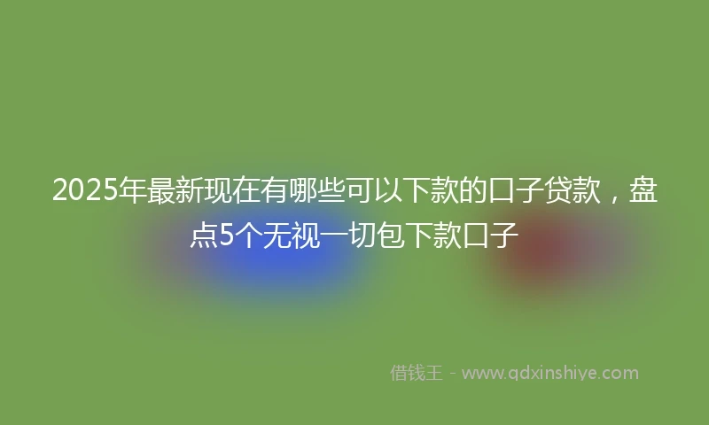 2025年最新现在有哪些可以下款的口子贷款，盘点5个无视一切包下款口子