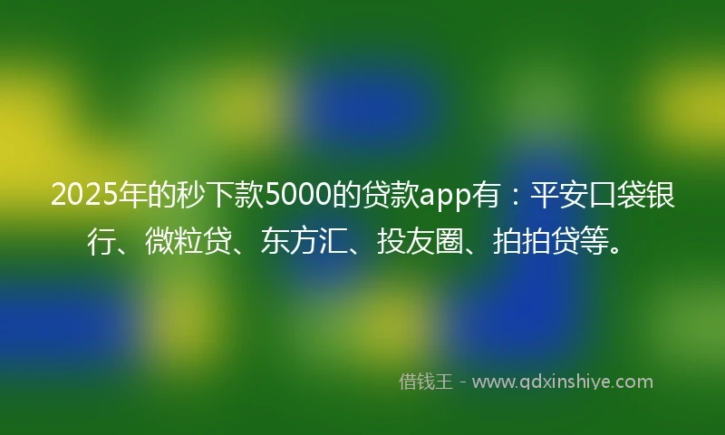 2025年的秒下款5000的贷款app有：平安口袋银行、微粒贷、东方汇、投友圈、拍拍贷等。