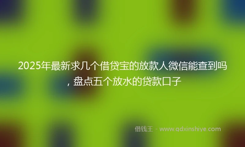 2025年最新求几个借贷宝的放款人微信能查到吗，盘点五个放水的贷款口子