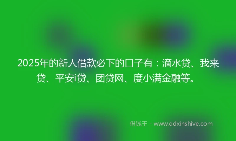 2025年的新人借款必下的口子有：滴水贷、我来贷、平安i贷、团贷网、度小满金融等。