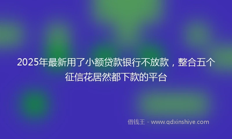2025年最新用了小额贷款银行不放款，整合五个征信花居然都下款的平台