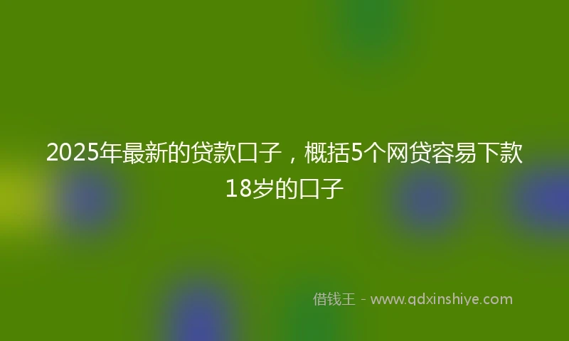 2025年最新的贷款口子，概括5个网贷容易下款18岁的口子