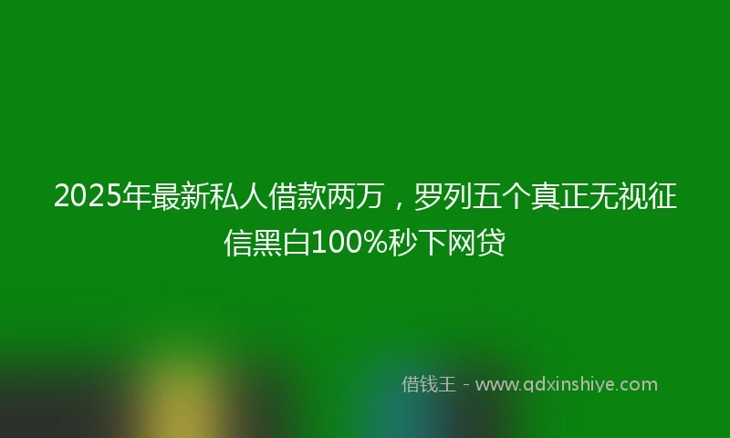 2025年最新私人借款两万，罗列五个真正无视征信黑白100%秒下网贷