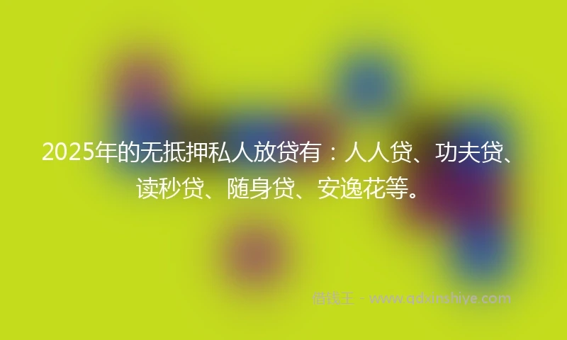 2025年的无抵押私人放贷有：人人贷、功夫贷、读秒贷、随身贷、安逸花等。
