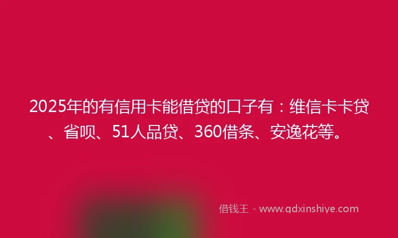 2025年的有信用卡能借贷的口子有：维信卡卡贷、省呗、51人品贷、360借条、安逸花等。