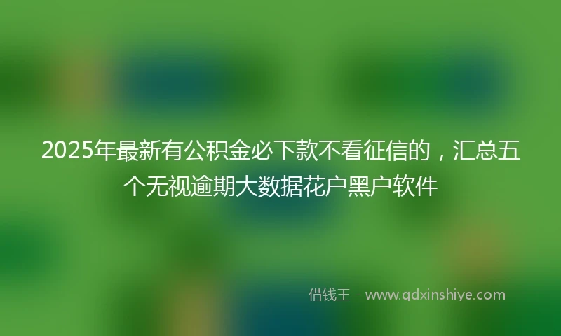 2025年最新有公积金必下款不看征信的，汇总五个无视逾期大数据花户黑户软件