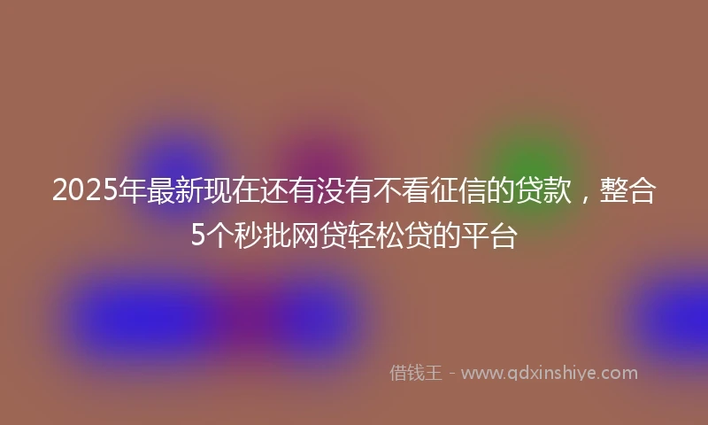 2025年最新现在还有没有不看征信的贷款，整合5个秒批网贷轻松贷的平台