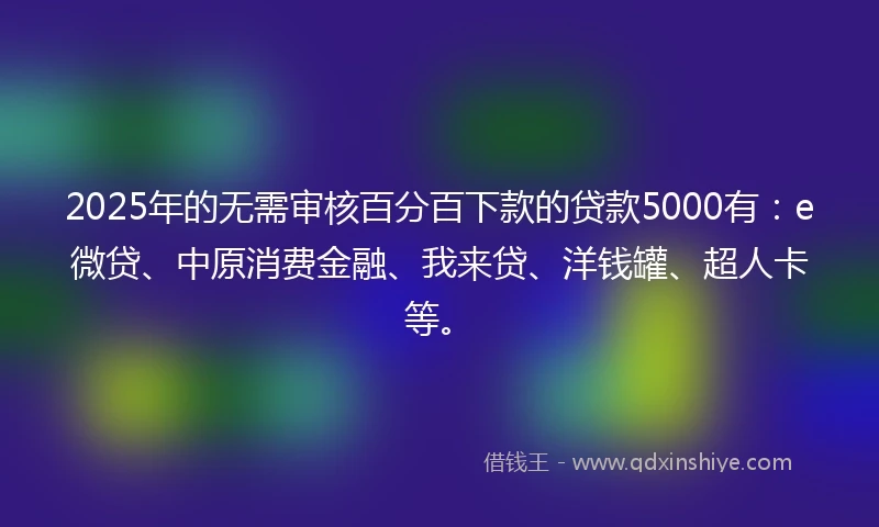 2025年的无需审核百分百下款的贷款5000有：e微贷、中原消费金融、我来贷、洋钱罐、超人卡等。